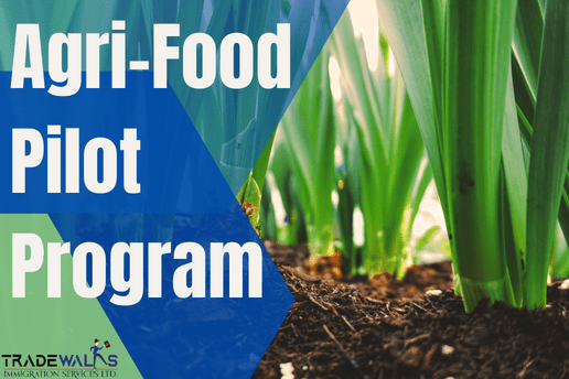 agri-food pilot program